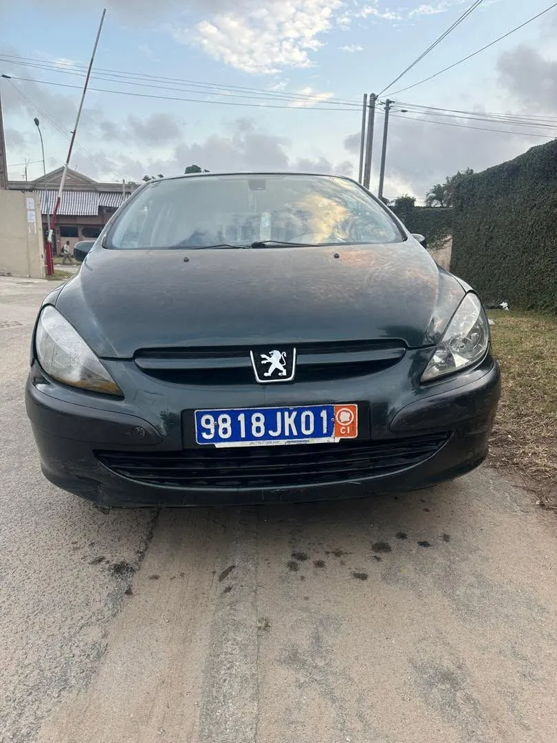 Peugeot 307