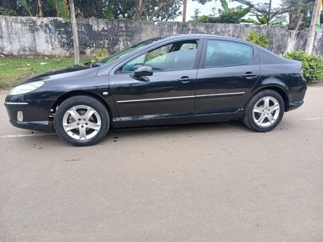 Peugeot 407
